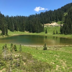 Meet your Posher, Emily